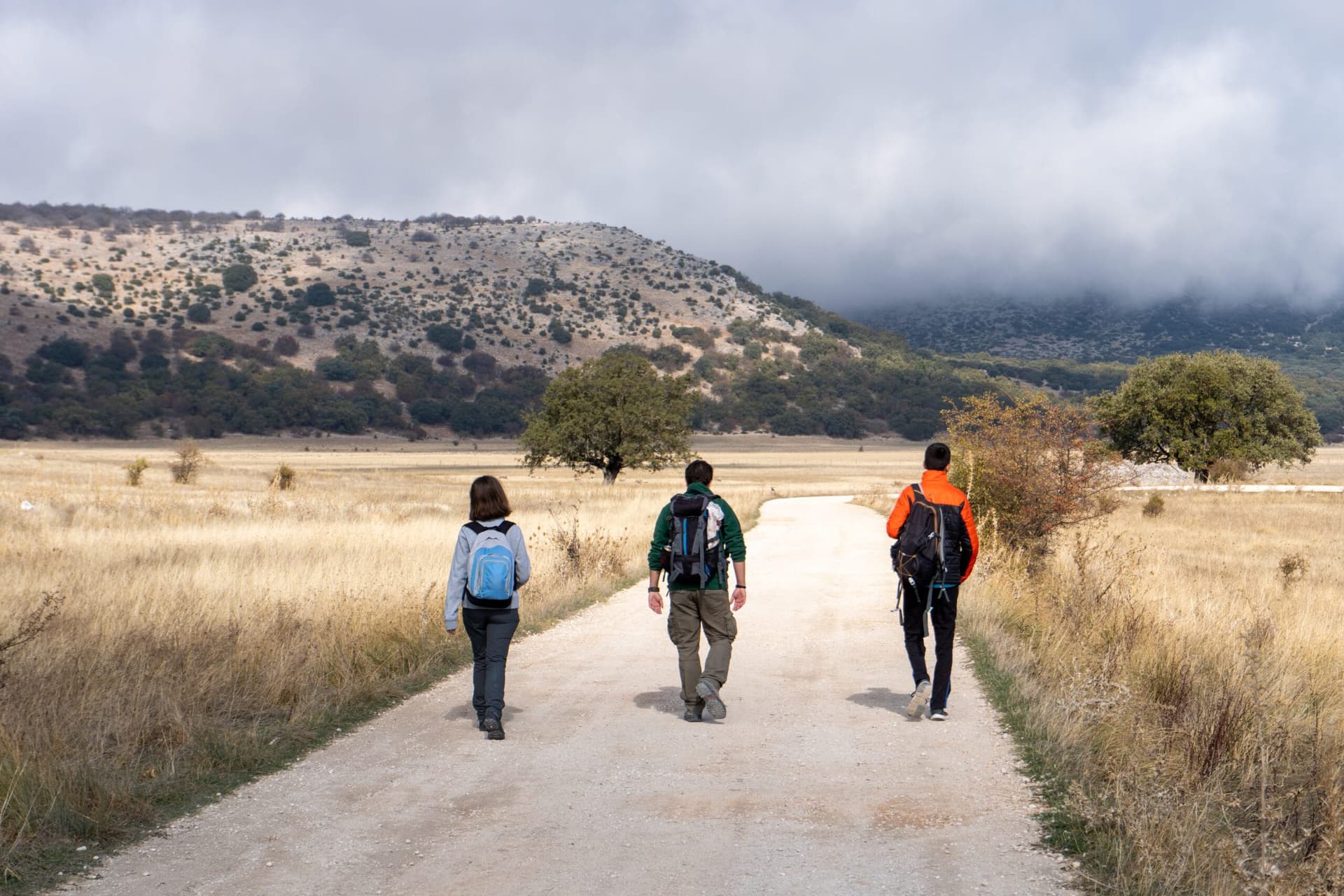 Friends Doing Trip in Countryside
